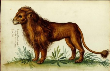  italienisch - Tier Löwe Italienisch